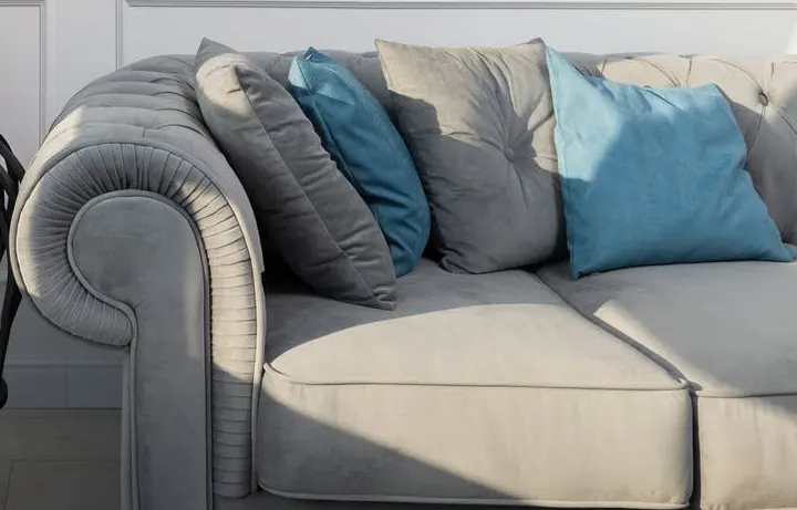 Upholstery Cleaning Gainesville
