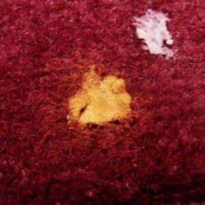 How to remove clay from carpet 1