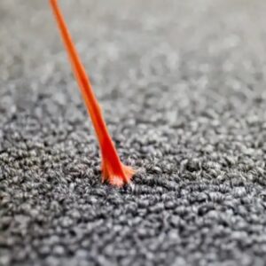 How to remove gum from carpet