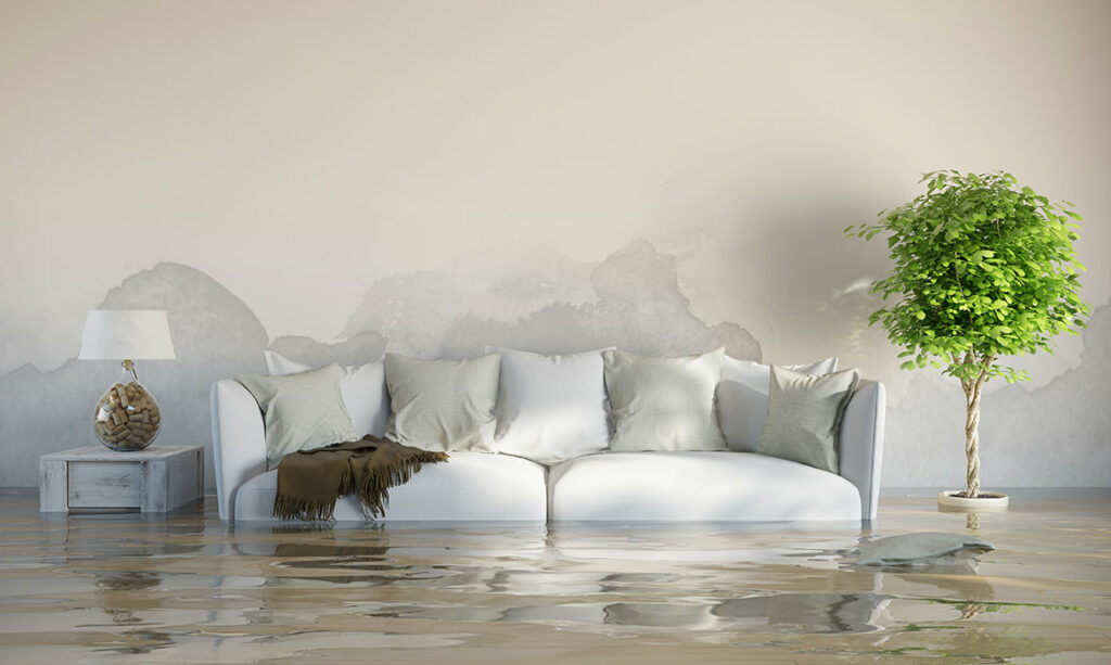 Reviving Gainesville: The Ultimate Guide to Expert Flood Damage Restoration