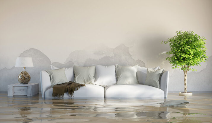Flood Damage Gainesville lake city fl
