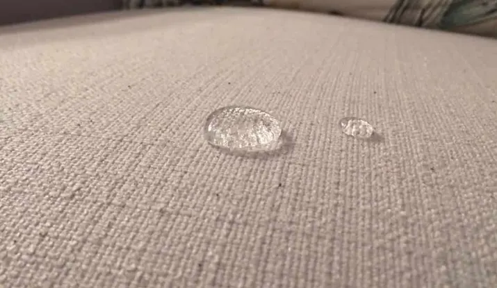 Couch Stain Protection Gainesville Florida Carpet Cleaning