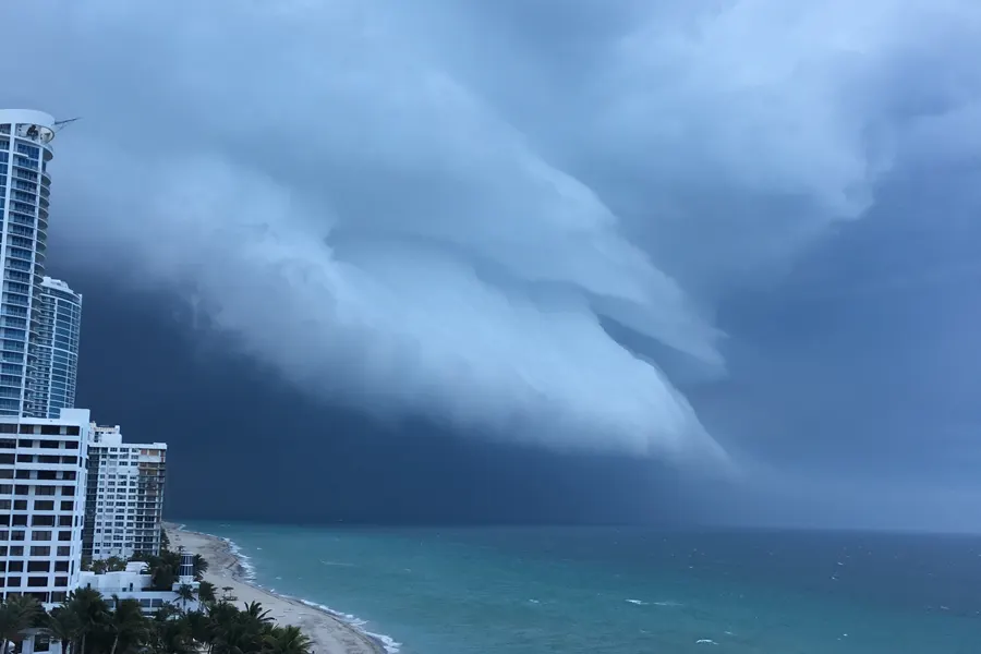 Gainesville Storm Survival Florida Guide