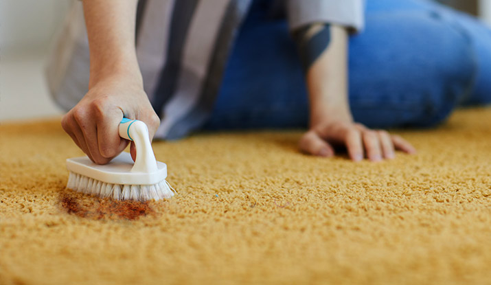 How to remove rust stain from my carpet Gainesville