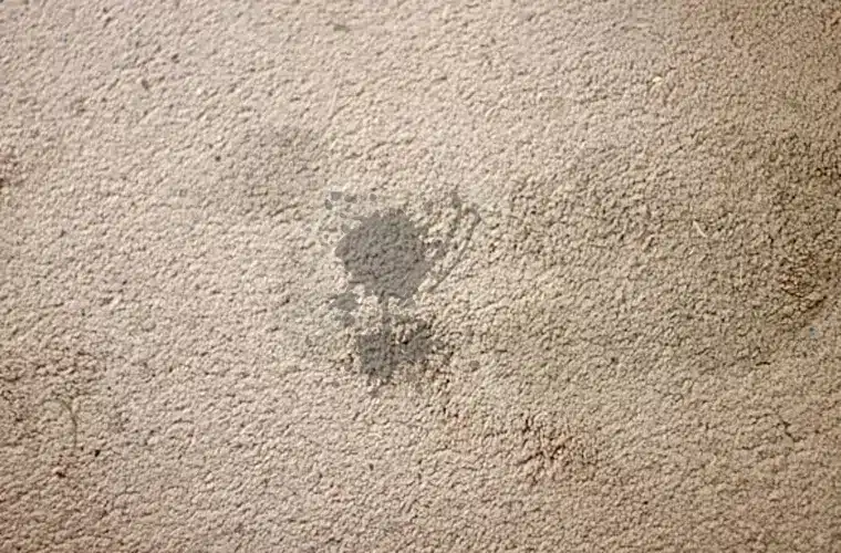 Gainesville Carpet Cleaning Blog Stain Removal returning