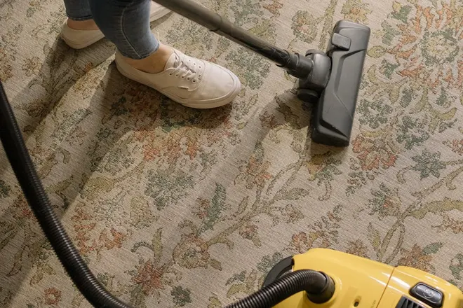 Clean carpet vacuum florida Gainesville carpet cleaning services