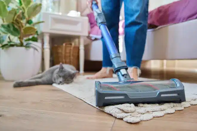 cleaning carpet cat in the floor Pinnacle Carpet Cleaning & Restorations florida