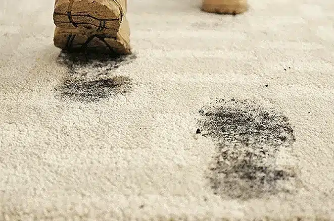 How to clean muddy boot prints from you carpet