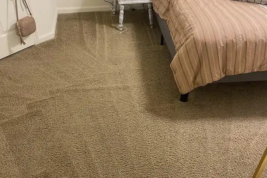 Rug Doctor Rental Gainesville Carpet Cleaning Steam System