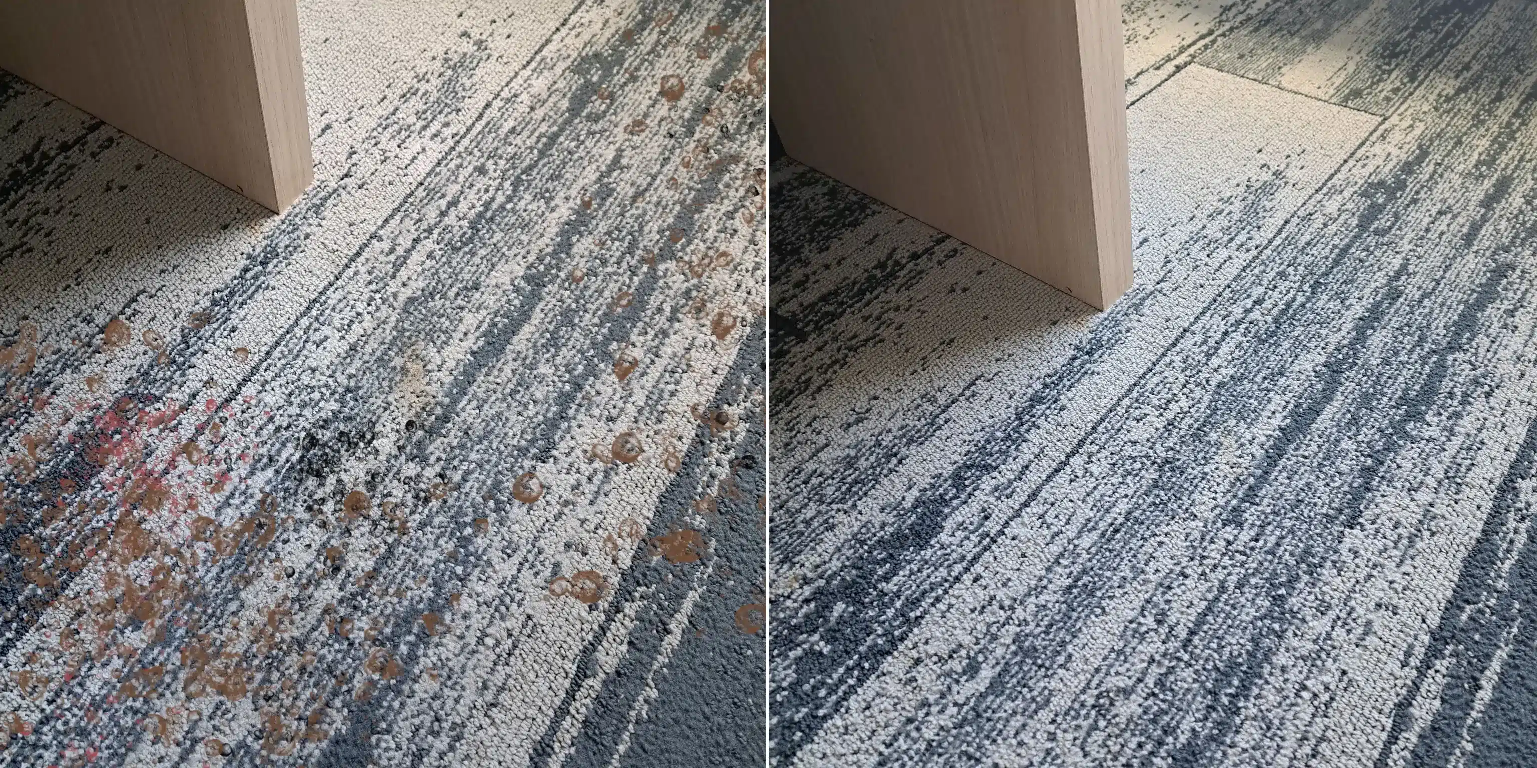 Carpet Cleaning Near Me Gainesville, FL -Dirt Carpet vs Clean Before and after