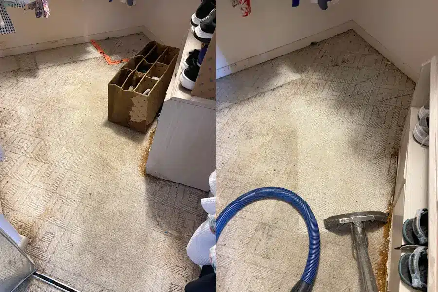 Carpet Cleaning Health Mold Remediation