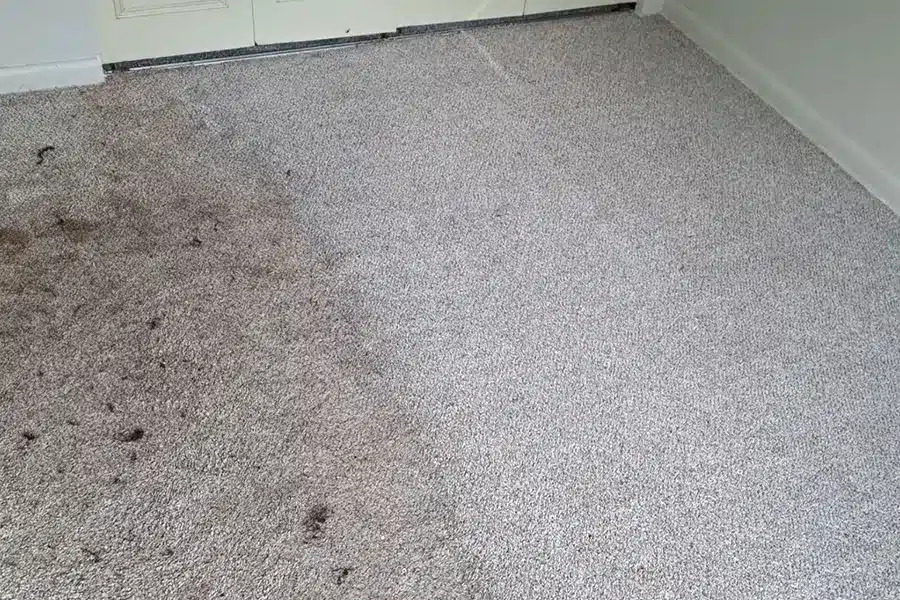 gray carpet with dirt and clean gray carpet floor