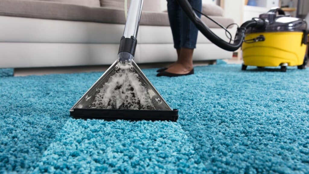 The Benefits of Eco-Friendly Carpet Cleaning Solutions for Your Home