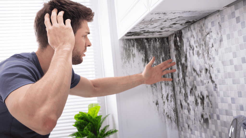 Understanding Water Damage and Mold Growth: A Guide for Gainesville Homeowners