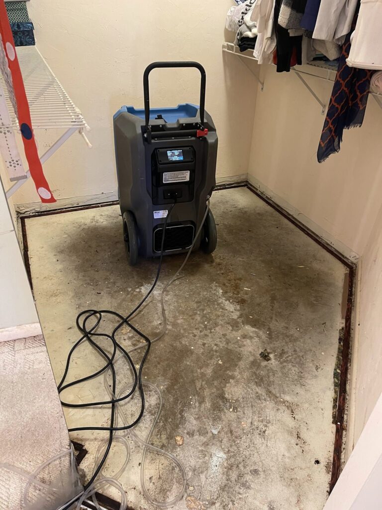 Understanding Water Damage Restoration